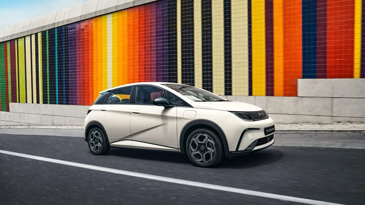 BYD BYD DOLPHIN 60.4 kWh — photo 2