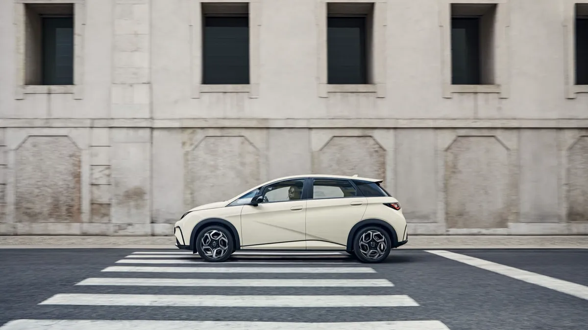 BYD BYD DOLPHIN 60.4 kWh — photo 3