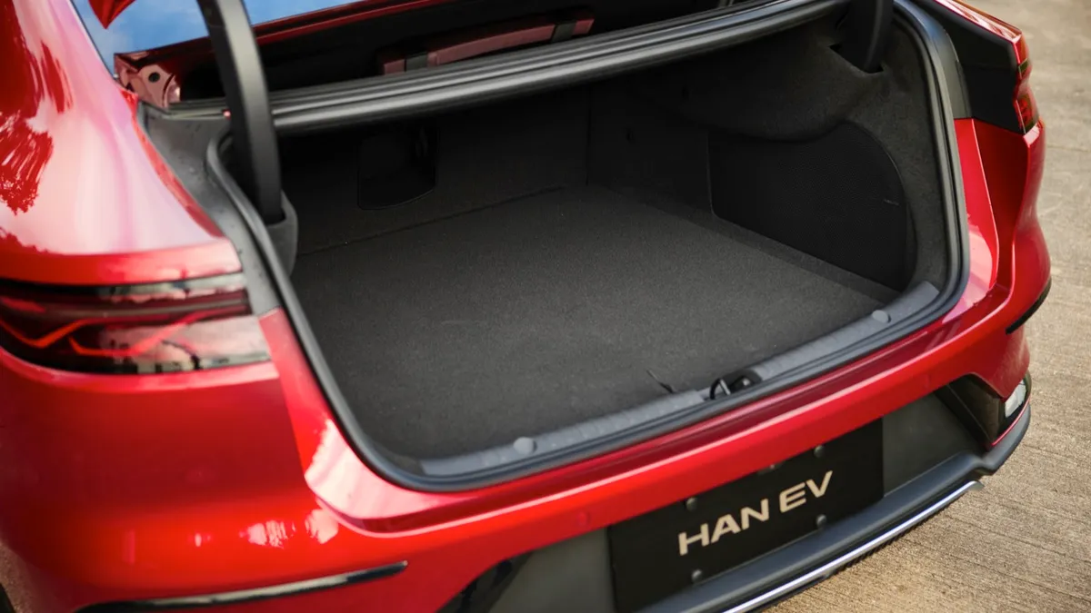 BYD BYD HAN — photo 23