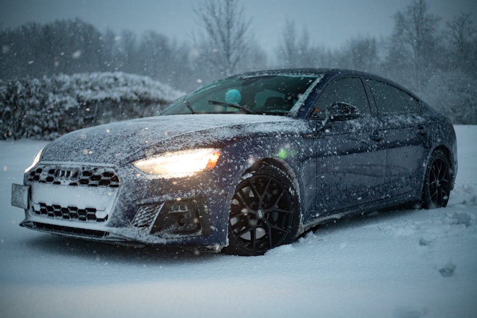 Ce que les propriétaires norvégiens disent de BYD après 2 hivers